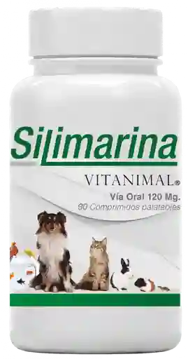Silimarina (120 mg)