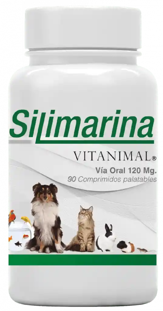 Silimarina (120 mg)