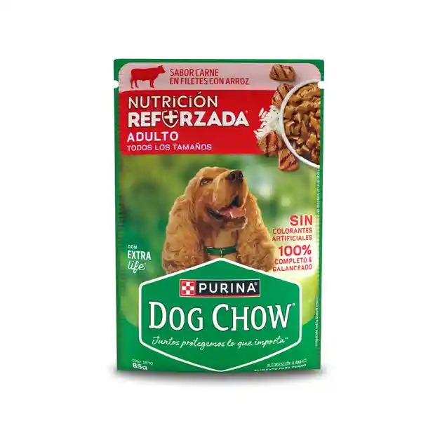 Dog Chow Alimento Húmedo Adulto Sabor Carne en Filetes Con Arroz