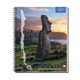 Artel Cuaderno Universitario 100 Hojas Paisajes de Chile 7 mm