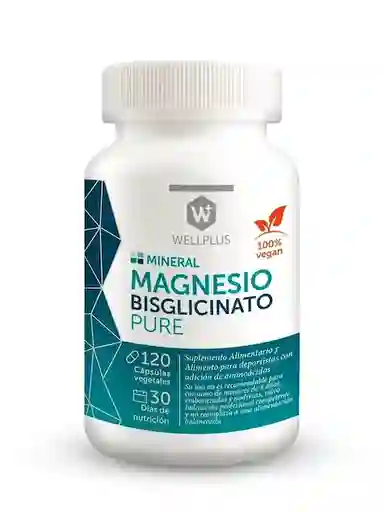 Wellplus Suplemento Alimenticio Magnesio Bisglicinato Pure