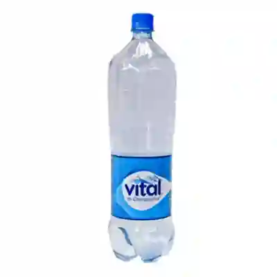 Agua Gasificada Vital 600 ml