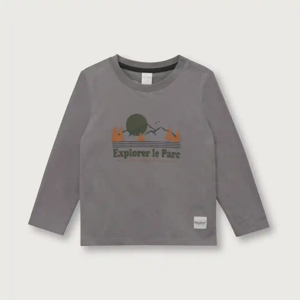 Polera De Niño Gris Talla 6m