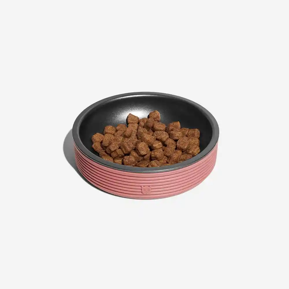 Zee.Dog Plato Para Gato Duo Bowl Terracota