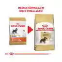 Royal Canin Alimento Para Perro Adulto Miniature Schnauzer Adult