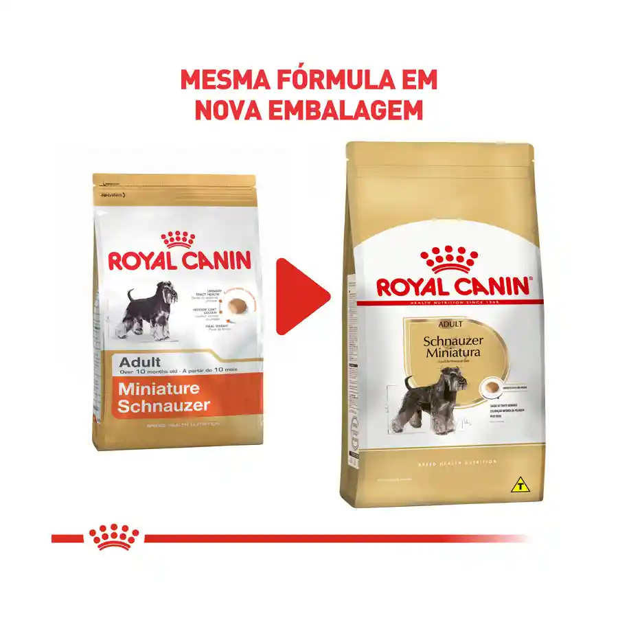 Royal Canin Alimento Para Perro Adulto Miniature Schnauzer Adult