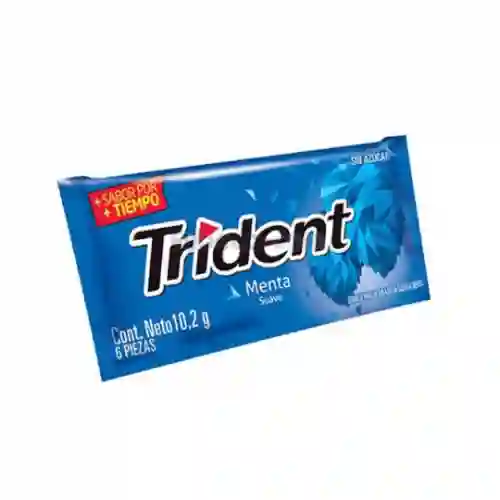 Chicle Trident 10,2 Grs
