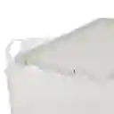 Caja Plástica Con Tapa 16 L