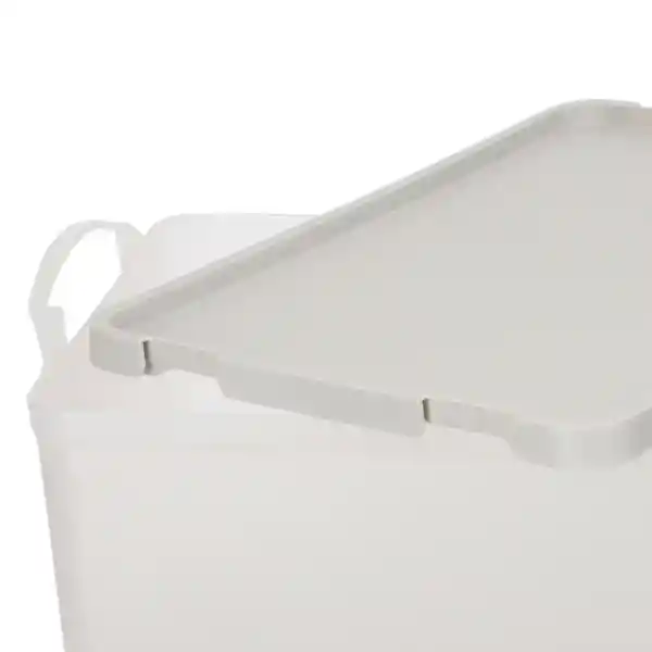 Caja Plástica Con Tapa 16 L