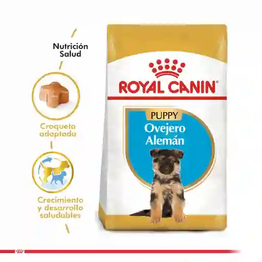 Royal Canin Alimento Para Perro Cachorro German Shepherd Puppy
