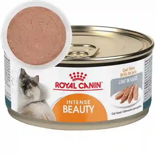 Royal Canin Alimento Húmedo para Gato Intense Beauty