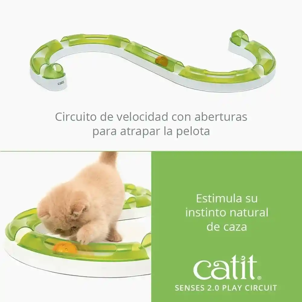 Cat it Juego Wave Circuit