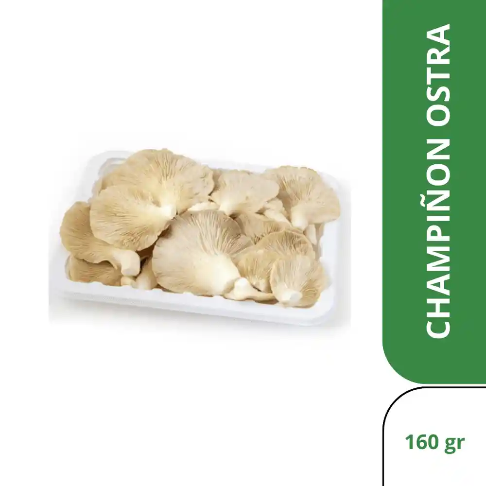 Champiñón Ostra