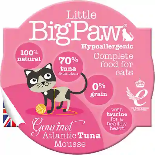 Little Big Paw Alimento Para Gato Atlantic Salmón