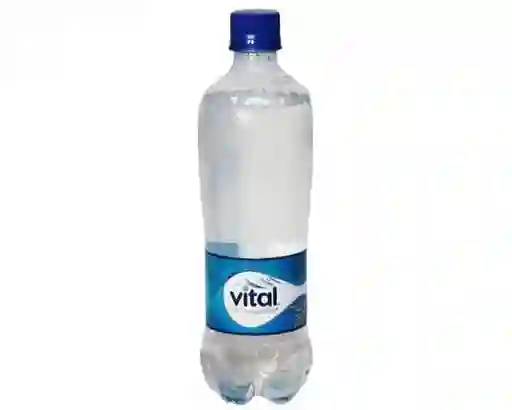 Vital Mineral Sin Gas 600 ml