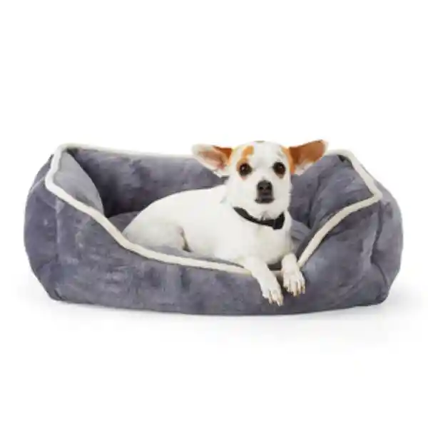 Everyyay Cama Rectangular de Bordes Elevados Gris  Perro