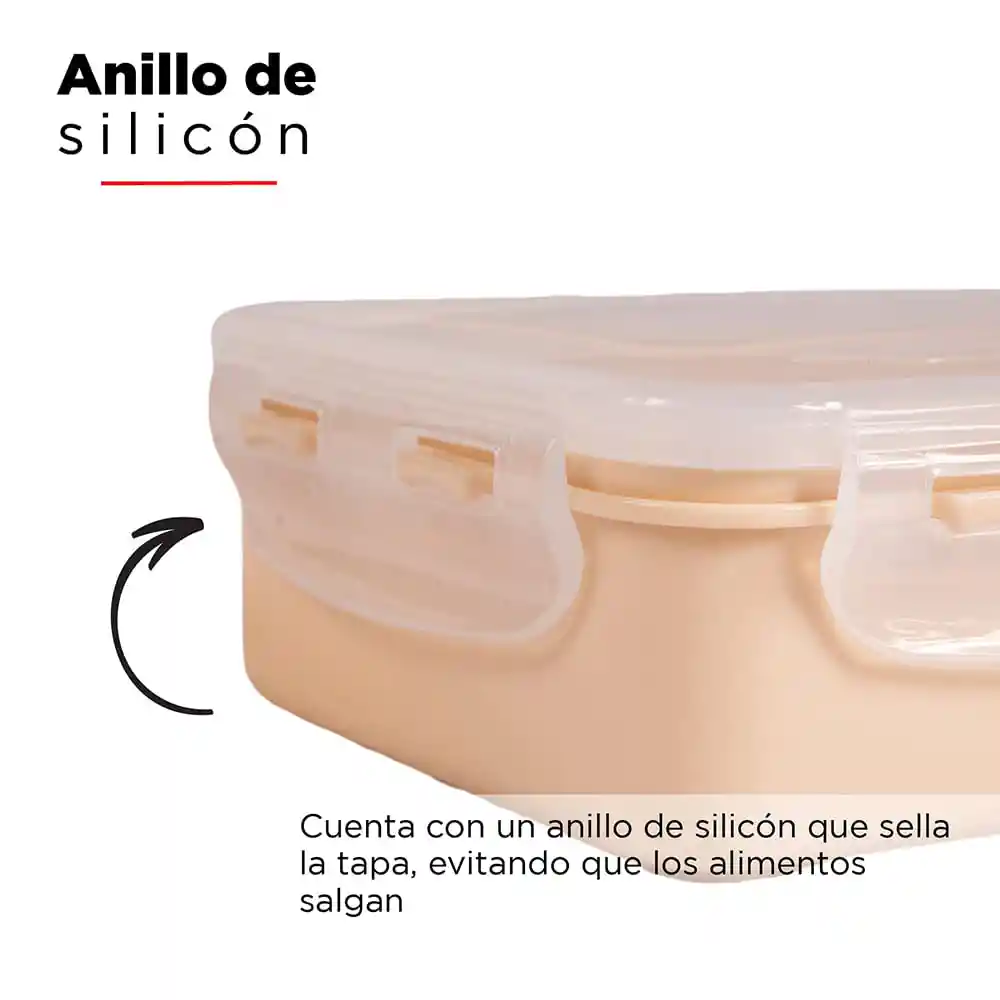 Miniso Contenedor y Tapa