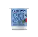 Quillayes Yogurt Griego Sin Azúcar Con Berries 110 g