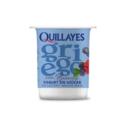 Quillayes Yogurt Griego Sin Azúcar Con Berries 110 g