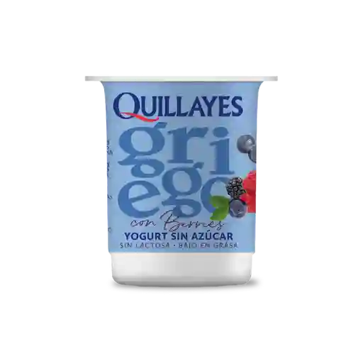 Quillayes Yogurt Griego Sin Azúcar Con Berries 110 g