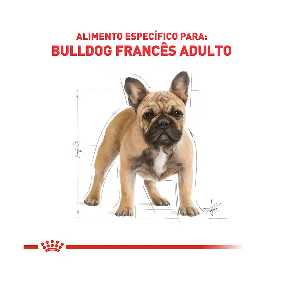 Royal Canin Alimento Seco Bulldog Francés Adulto 7.5 Kg