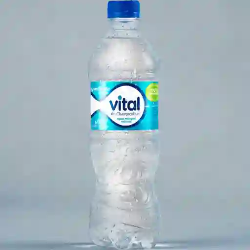 Agua mineral con gas vital 600 ml