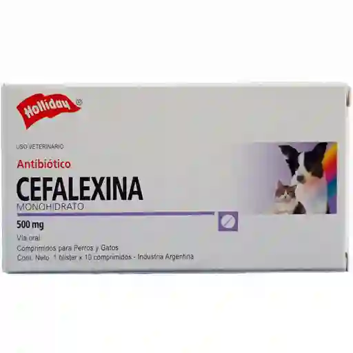 Cefalexina (500 mg)