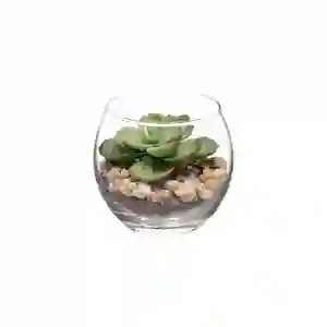 Maceta de Vidrio Con Cactus Diámetro 6.9 x 7.9 cm