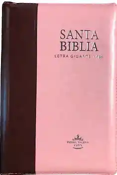 Biblia Rvro 66 Rosado-Café