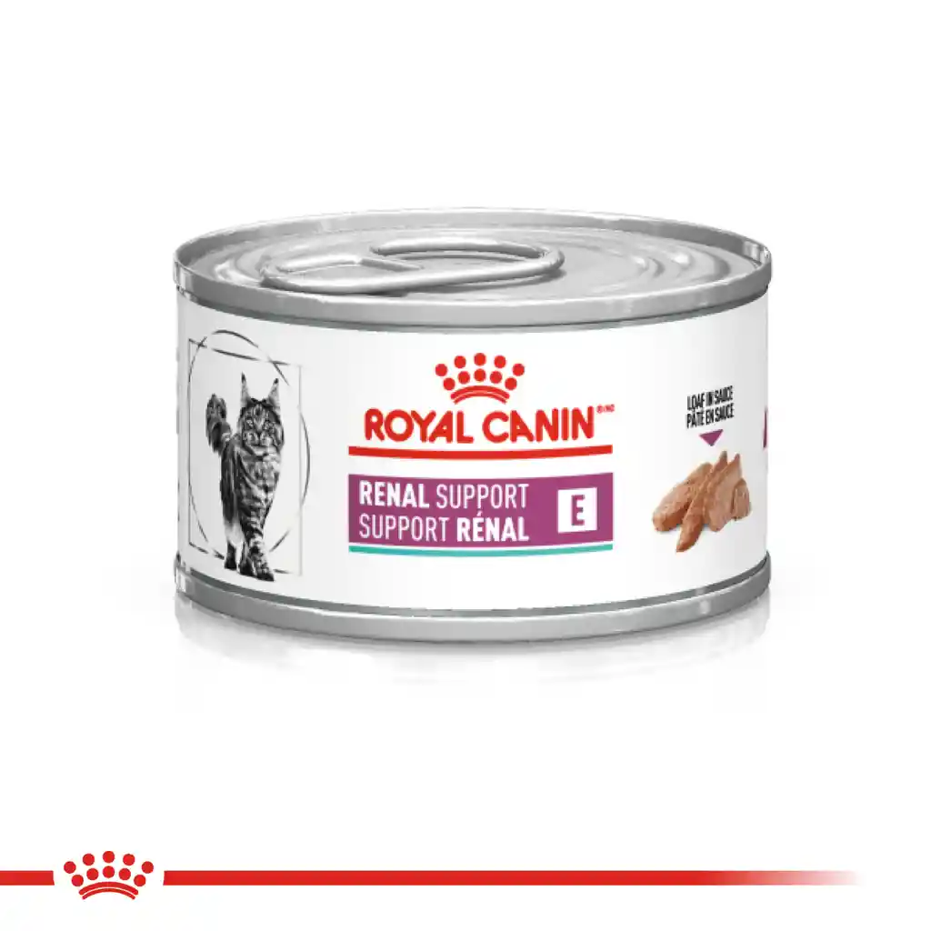 Royal Canin Alimento Húmedo para Gato Renal