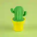 Goma y Sacapuntas Miniso