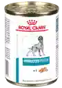 Royal Canin Alimento Para Perro Hydrolyzed Protein