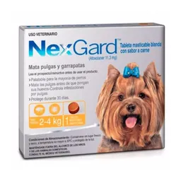 Nexgard Antiparasitario 2-4 Kg