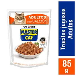 Mastercat Alimento Húmedo para Gatos Adultos Salmón en Salsa