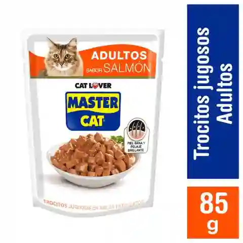 Mastercat Alimento Húmedo para Gatos Adultos Salmón en Salsa