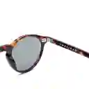 Lentes de Sol Clint Dark Tortoise Inztinto