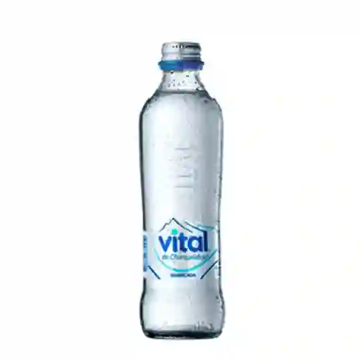 Mineral Vital 330Ml