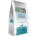 Vet Life Alimento para Perro Growth & Convalescence