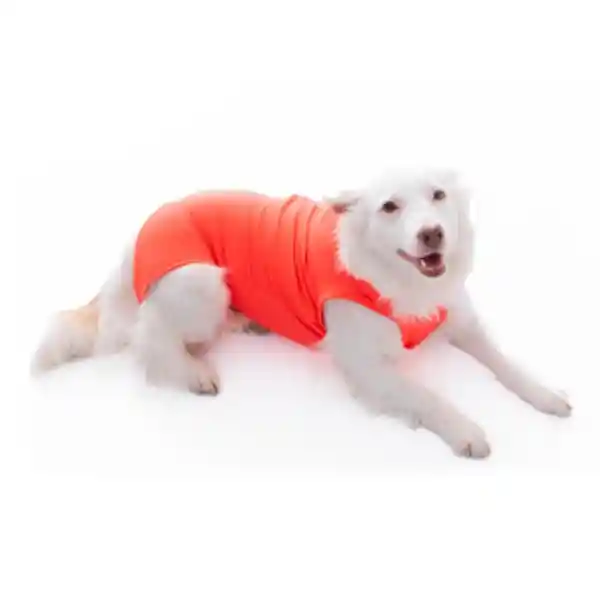 Body Antimicrobial Dog Talla 3