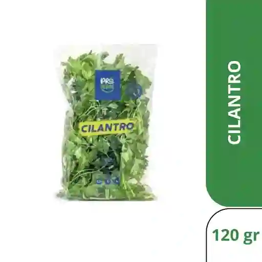 Cilantro Regional