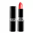 Petrizzio Labial Creamy Lipstick Dreams