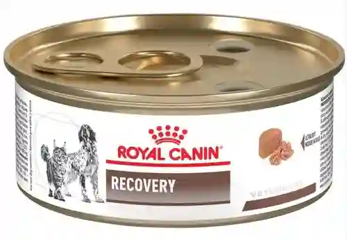 Royal Canin Alimento para Perro Recovery