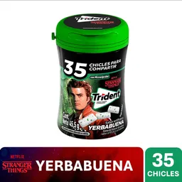 Trident Chicle Sin Azúcar Botella Sabor Yerbabuena