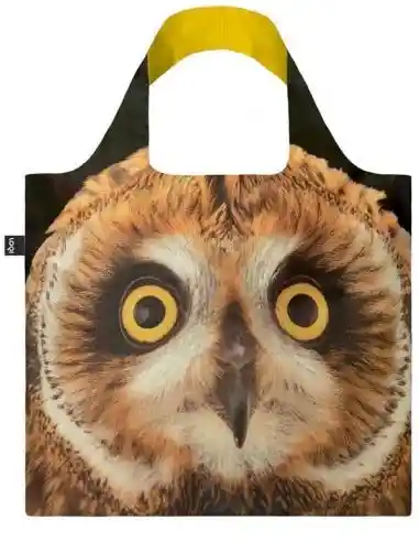 Bolsa Short-Eared Owl (Coleccion National Geographic)