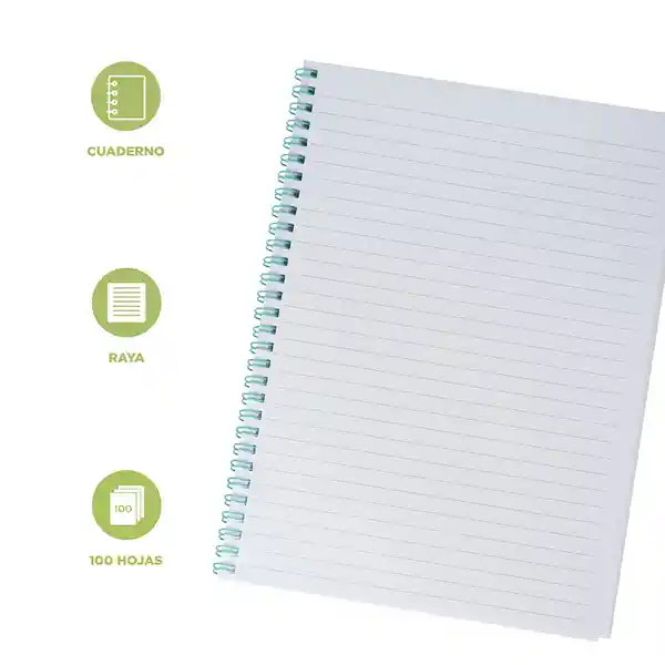 Libreta de Espiral Color Menta Miniso