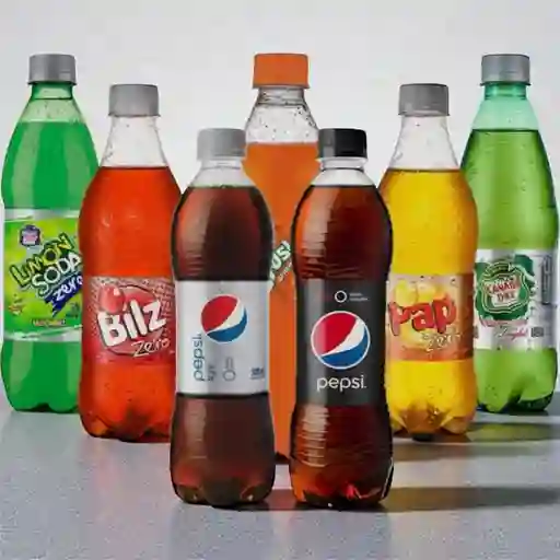 Bebida botella 500 ml