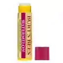 Burt's Bees Bálsamo Labial Watermelon