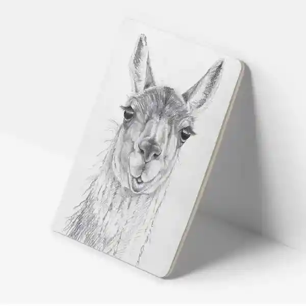 Libreta Guanaco