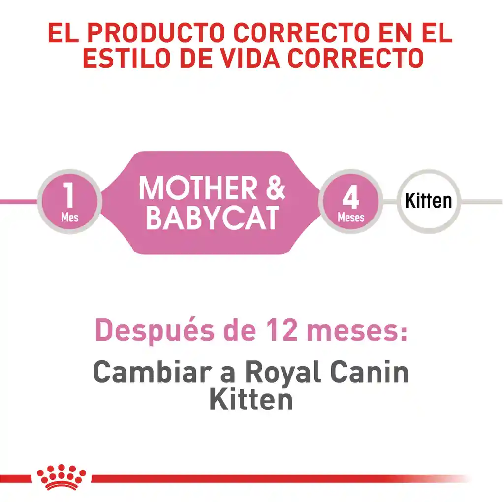 Royal Canin Alimento para Gatos Madre y Bebé Gato