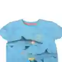 Polera Niño Turquesa Pillin 3 a